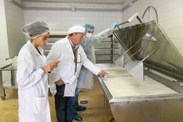 Ganadería caprina extensiva y producción de leche en la Sierra de Gredos
