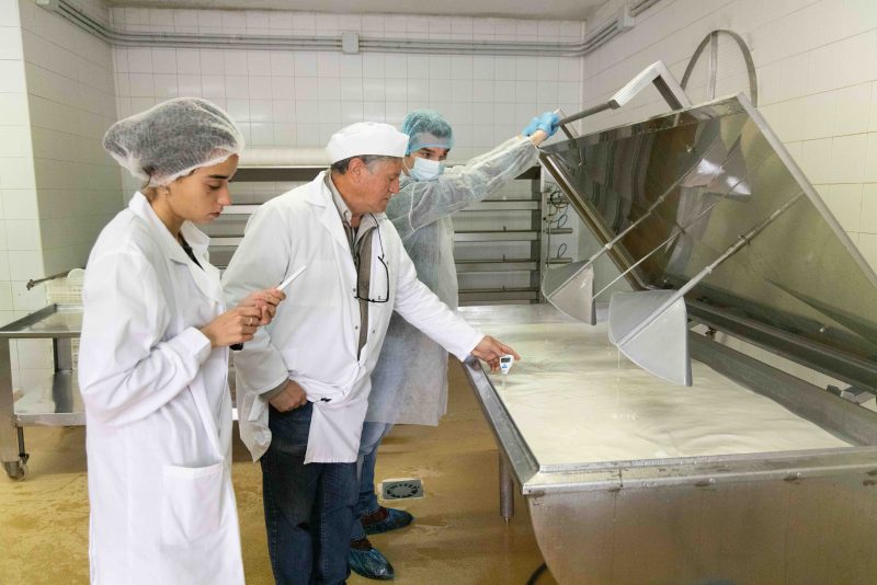 148A9773 Mejorar la calidad de la leche
