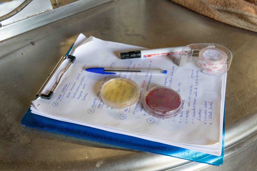 El equipo veterinario de Biopastoreo inicia las visitas a las explotaciones ganaderas participantes en el proyecto